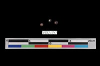 藏品(鐵鋁柘榴子石)的圖片